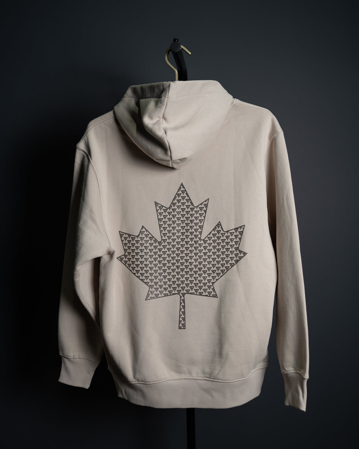 REALM VARSITY HOODIE