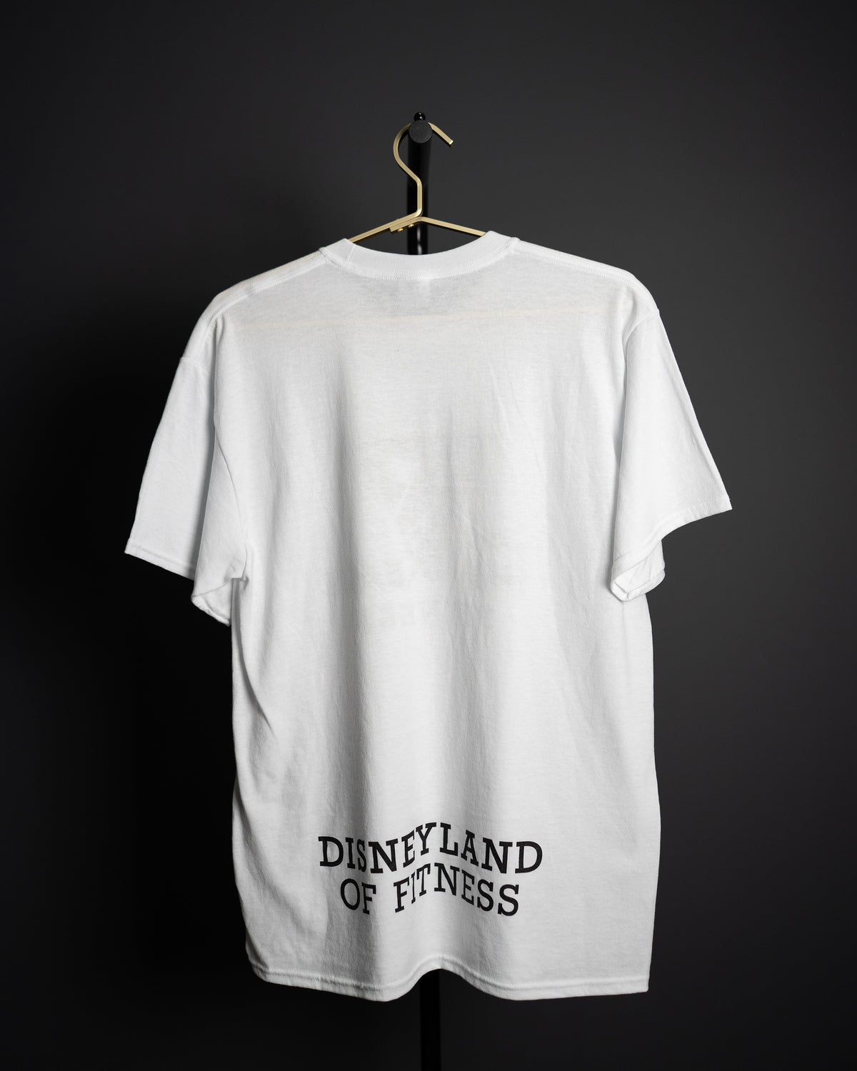 DISNEYLAND OF FITNESS TEE